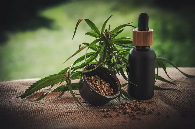 CBD- czy warto?